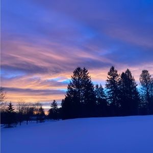 Meet your Posher, Ava